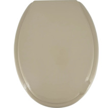 Abattant de WC en plastique