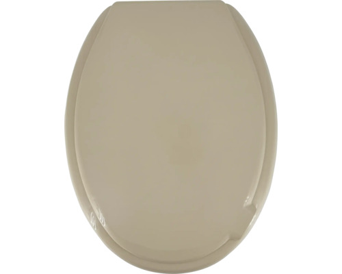 Abattant de WC en plastique