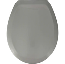 Grauer Toilettensitz von oben