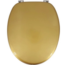 Abattant de WC en plastique avec ferrures métalliques