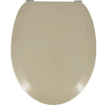 Toilettendeckel aus Kunststoff