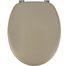 Abattant de WC en plastique