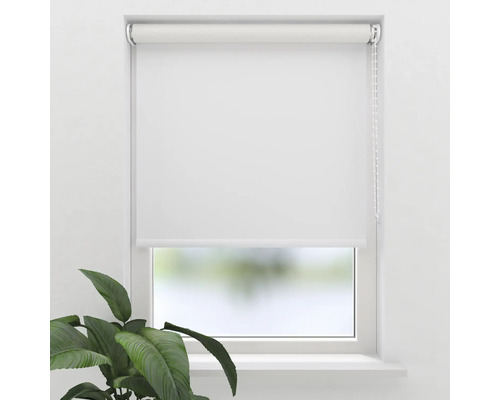 Weisses Rollo am Fenster mit Kettenzug und Pflanze