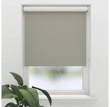 Ansicht eines Fensters mit einem grauen Rollo