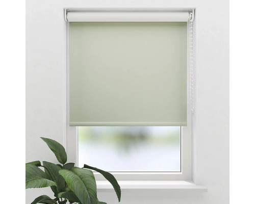 Grüne Fenster-Rollo zur Beschattung und zum Schutz der Privatsphäre
