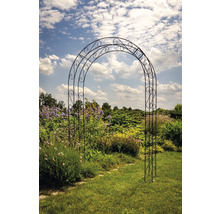 Arche à roses métallique dans un jardin avec des fleurs