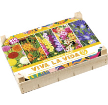 Mélange de bulbes de fleurs dans une caisse en bois avec une impression de différentes fleurs et l'inscription Viva la Vida