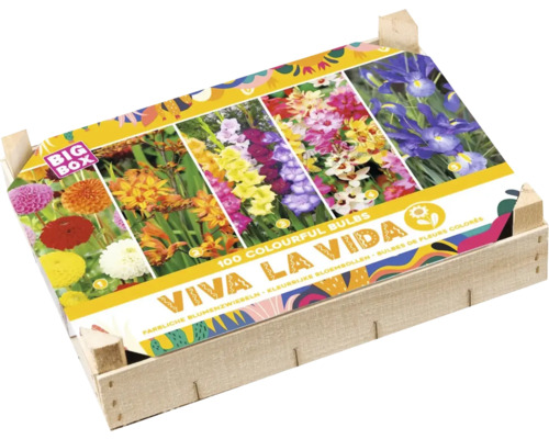 Mélange de bulbes de fleurs dans une caisse en bois avec une impression de différentes fleurs et l'inscription Viva la Vida