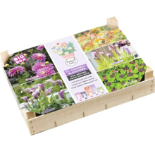 Caisse en bois avec une sélection de 50 plantes fleuries pour jardin, terrasse et pot