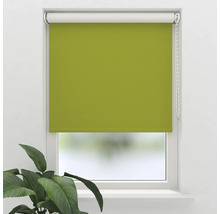 Grüne Fensterrollo im Fensterrahmen