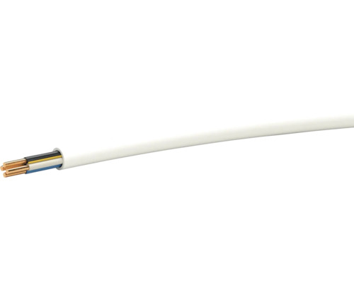 Câble électrique à plusieurs fils