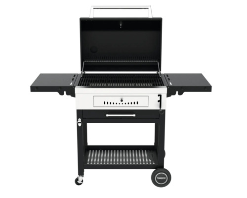 Barbecue au charbon de bois avec surfaces de rangement, grille et chariot