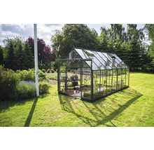 Gewächshaus im Garten mit Pflanzen