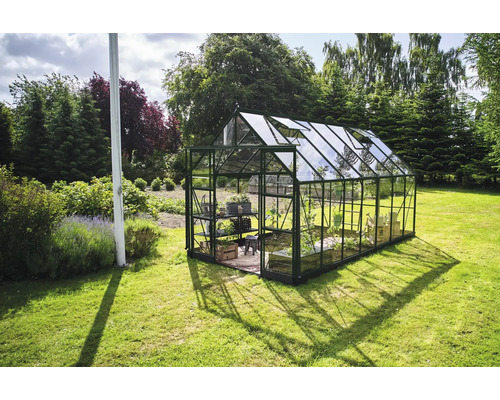 Gewächshaus im Garten mit Pflanzenregal