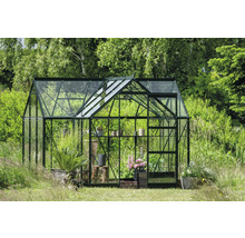 Gewächshaus mit Pflanzen im Garten