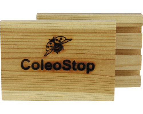 Lebende Nützlinge ColeoStop 1 Stück für 8 m2