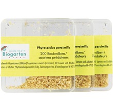Packung mit Raubmilben zur Schädlingsbekämpfung