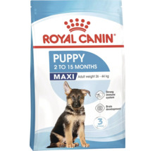 Logo Royal Canin. Emballage d'aliments secs pour chiens Puppy Maxi pour chiots de 2 à 15 mois avec un poids final de 26 à 44 kilogrammes.