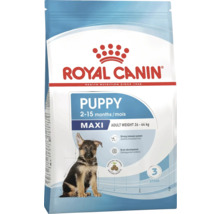 Aliment sec pour chiots de grande race Royal Canin Puppy Maxi