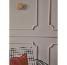 Wand mit Stuckrahmen, Holzhaken und Metallstuhl mit Kissen