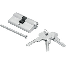 Profilzylinder mit Schlüssel und Befestigungsschraube