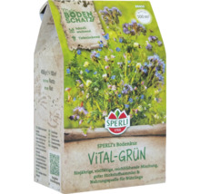 Samenpackung Sperli Vital-Grün Bodenkur für circa 100 Quadratmeter
