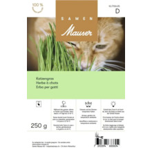 Mauser Katzengras Samen 250 g