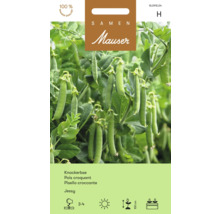 Mauser Jessy Knackerbse Samenpackung