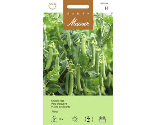 Mauser Jessy Knackerbse Samenpackung