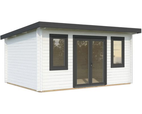 Abri de jardin avec fenêtres et porte double