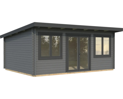 Abri de jardin avec fenêtres et double porte