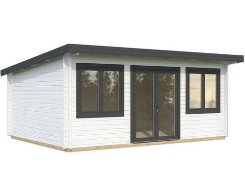 Abri de jardin en bois avec fenêtres et porte double