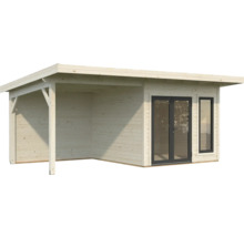 Abri de jardin en bois avec avant-toit et fenêtre