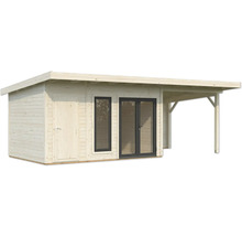 Abri de jardin en bois avec porte, fenêtre et auvent