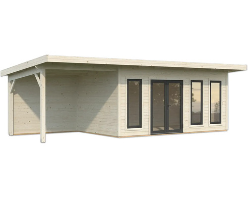 Abri de jardin en bois avec auvent, fenêtres et porte double