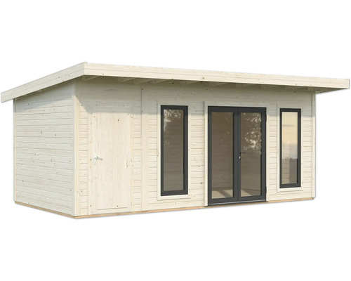 Abri de jardin en bois avec porte et fenêtres