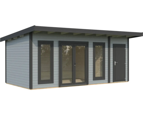 Abri de jardin avec fenêtres et porte