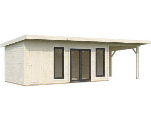 Abri de jardin en bois avec porte double et auvent