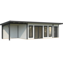 Abri de jardin moderne avec toit, fenêtres et porte.