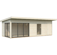 Abri de jardin en bois avec fenêtres et porte