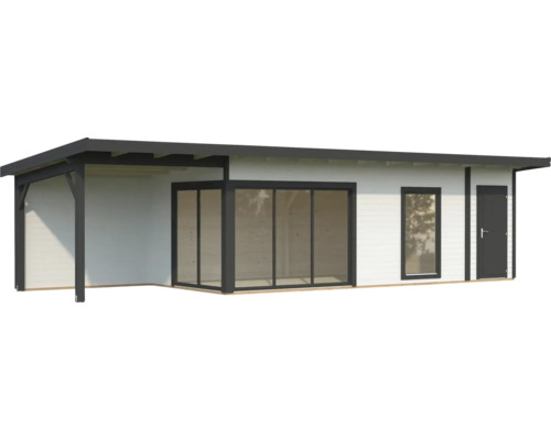 Abri de jardin avec carport, fenêtre et porte