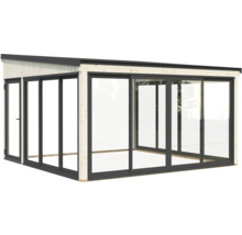 Abri de jardin moderne avec portes coulissantes et cadre en bois