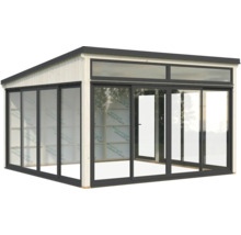 Maison de jardin en bois avec portes coulissantes en verre et fenêtres de toit pour l'espace jardin