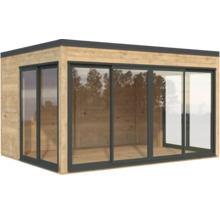 Abri de jardin moderne en bois avec portes coulissantes en verre