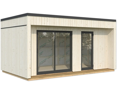 Abri de jardin en bois avec porte coulissante et fenêtre