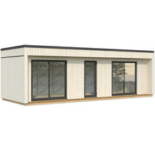 Abri de jardin en bois avec porte et fenêtres