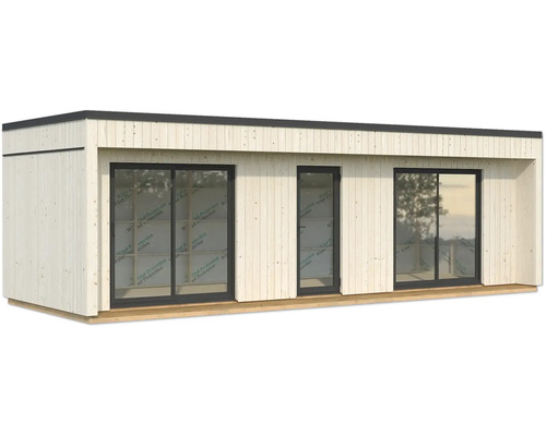 Abri de jardin en bois avec porte et fenêtres