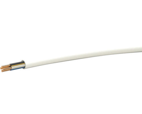 Câble électrique avec plusieurs conducteurs en cuivre