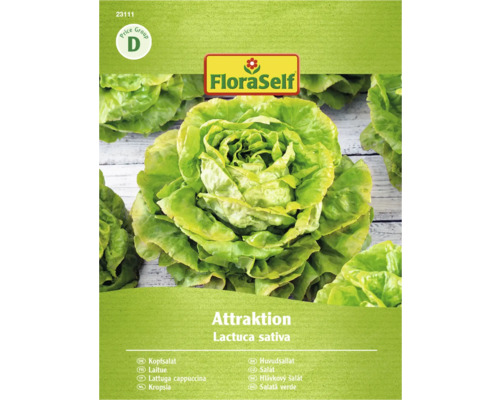 FloraSelf Kopfsalat Attraktion Samenpackung