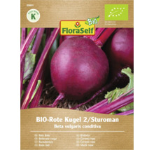 Paquet de graines de betterave rouge biologique Kugel 2 Sturoman